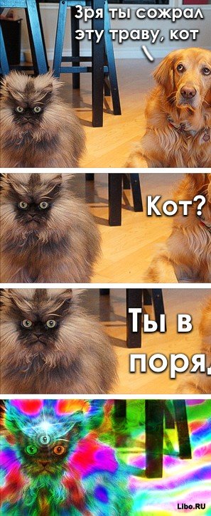 Подборка комиксов