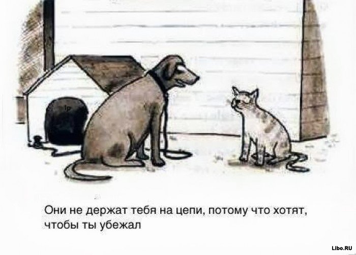 Подборка комиксов