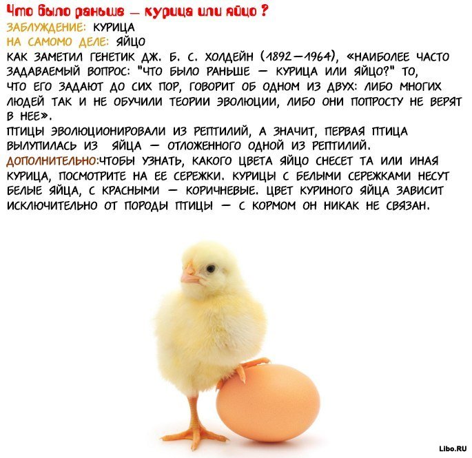 Интересные факты в картинках