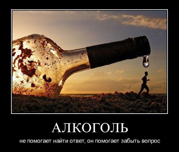 Прежде чем пить алкоголь