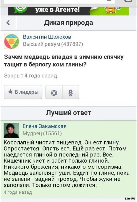 Веселые комментарии