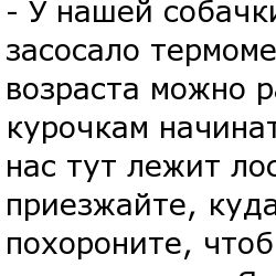 Из обращений в ветеринарную службу