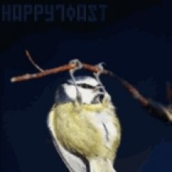 Синичка на морозе