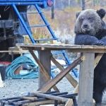 Придумайте название для картинки